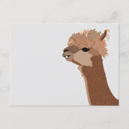 Cartão Postal Alpaca Animal Cute