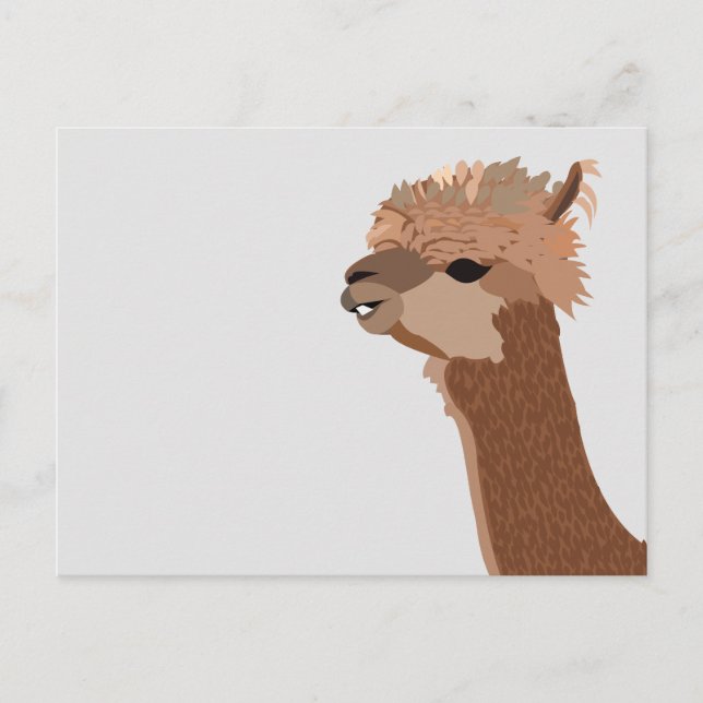 Cartão Postal Alpaca Animal Cute (Frente)