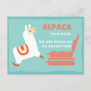 Cartão Postal Alpaca Branco Divertido Viagem