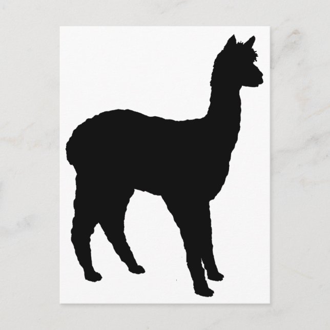 Cartão Postal Alpaca Silhouette (Frente)