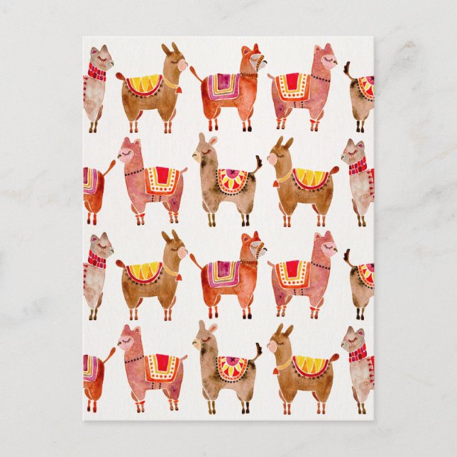 Cartão Postal Alpacas (Frente)