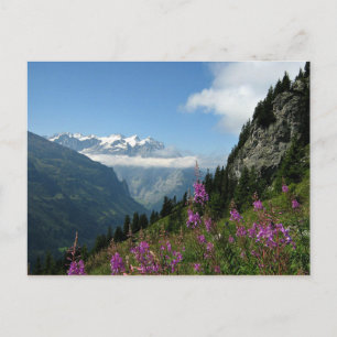 Cartão Postal Alpes - Suiça