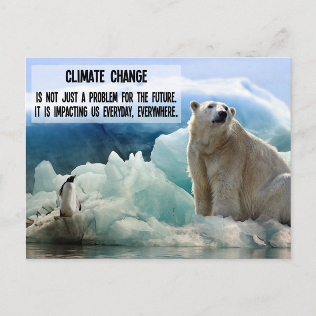 Cartão Postal Alterações climáticas com pinguim de urso polar (Frente)