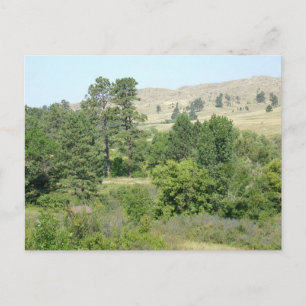 Cartão Postal Alto Deserto