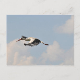 Cartão Postal Alto no céu