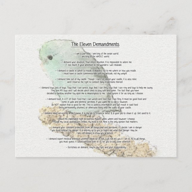 Cartão Postal Altos Demandamentos dos Parrotlets (Frente)