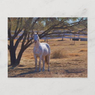 Cartão Postal Altura em Pé