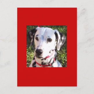 Cartão Postal amaldiçoação