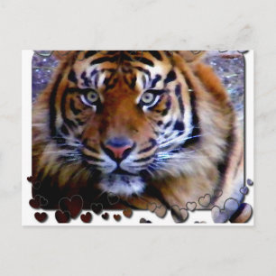 Cartão Postal Amando Você_