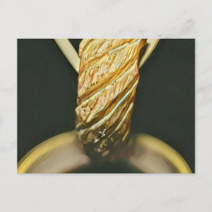 Cartão Postal Amante de sushi japonês