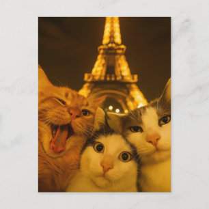 Cartão Postal Amante do Grupo de Selfie de Gato Noturno de Paris