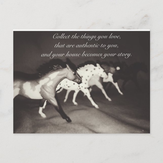 Cartão Postal Amantes de Cavalo Modelo Colecionam as Coisas que  (Frente)