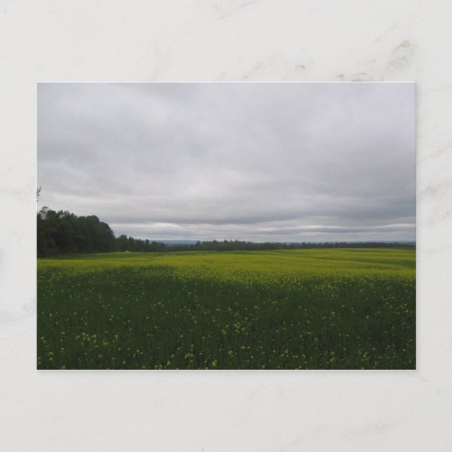 Cartão Postal amarelo (Frente)