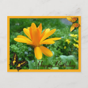 Cartão Postal Amarelo do calendário