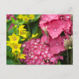 Cartão Postal Amarelo e Rosa