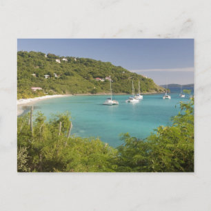 Cartão Postal Amarração popular para aluguel de barcos sem tripu