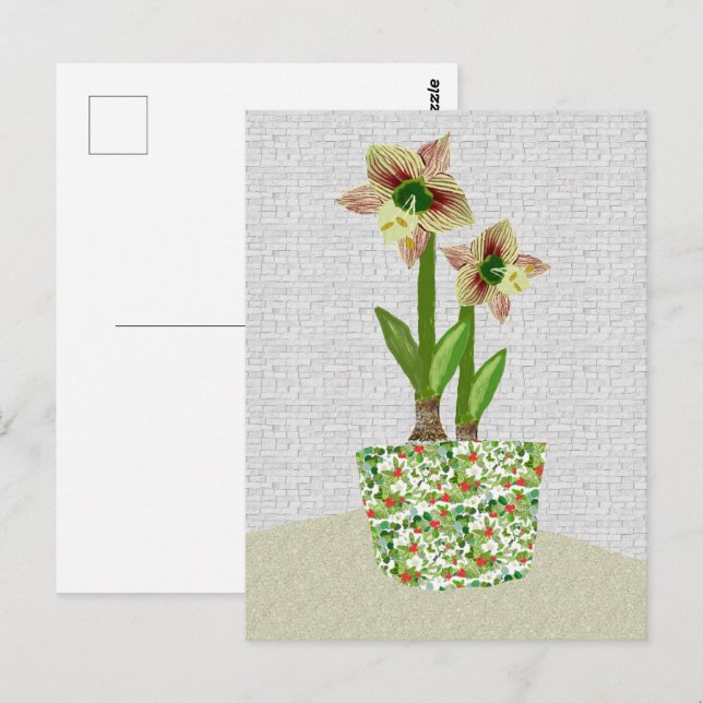 Cartão postal Amaryllis (Frente/Verso)
