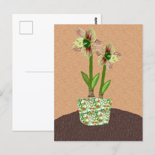 Cartão postal Amaryllis