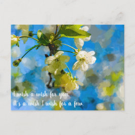 Cartão Postal Amáveis flores de cereja