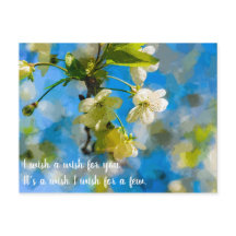 Amáveis flores de cereja