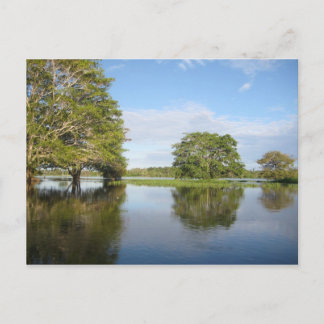 CARTÃO POSTAL AMAZON RAINFOREST.