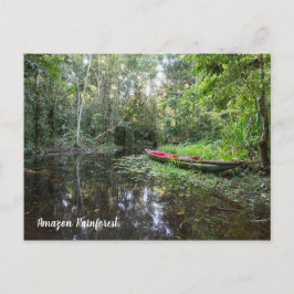 Cartão Postal Amazon Rainforest Postcard