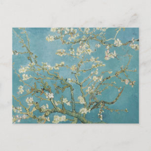 Cartão Postal amendoeira em flor por Vincent Van Gogh