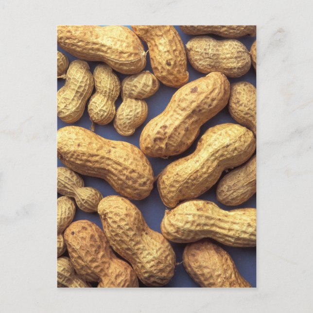 Cartão Postal Amendoins (Frente)