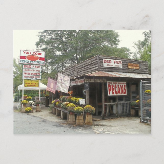 Cartão Postal Amendoins cozidos VÊM (Frente)