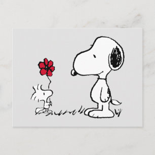 Cartão Postal Amendoins   Snoopy & Woodstock Vermelho e Preto