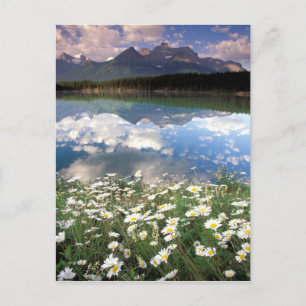 Cartão Postal América do Norte, Canadá, Alberta, Parque Nacional