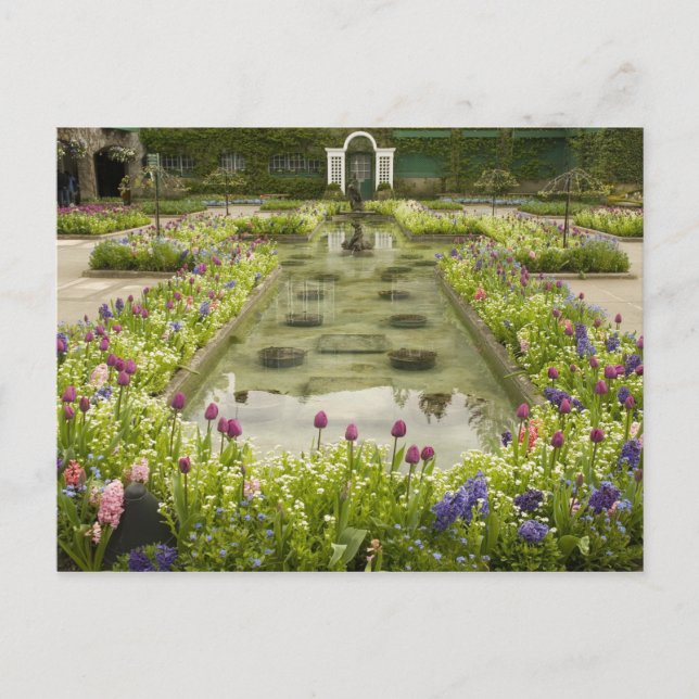 Cartão Postal América do Norte, Canadá, Colômbia Britânica, 4 (Frente)