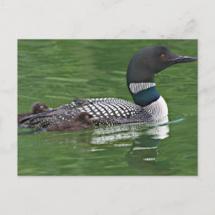 Cartão Postal América do Norte, Canadá, Colúmbia Britânica