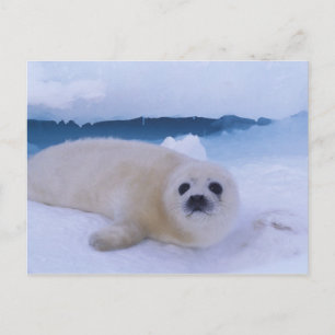 Cartão Postal América do Norte, Canadá, Quebeque, Iles de la 2