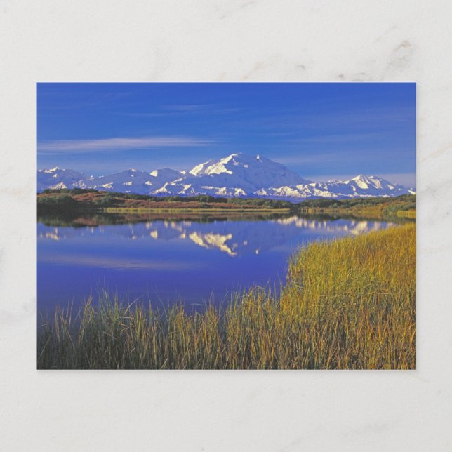 Cartão Postal América do Norte, EUA, Alasca, Denali NP, (Frente)