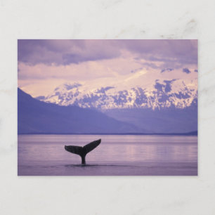 Cartão Postal América do Norte, EUA, Alasca, Dentro Passage.