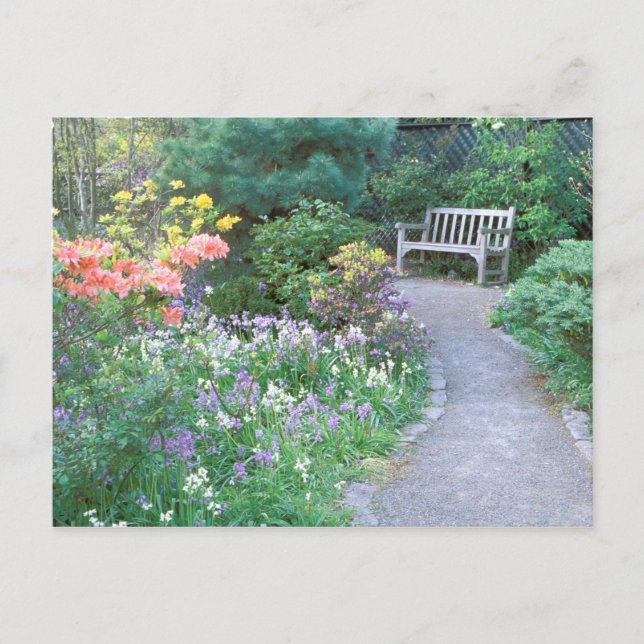 Cartão Postal América do Norte, EUA, Estado de Washington, Seatt (Frente)