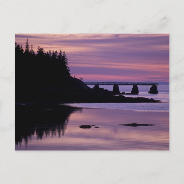 Cartão Postal América do Norte, EUA, EU, Isle Au Haut. Pato (Frente)