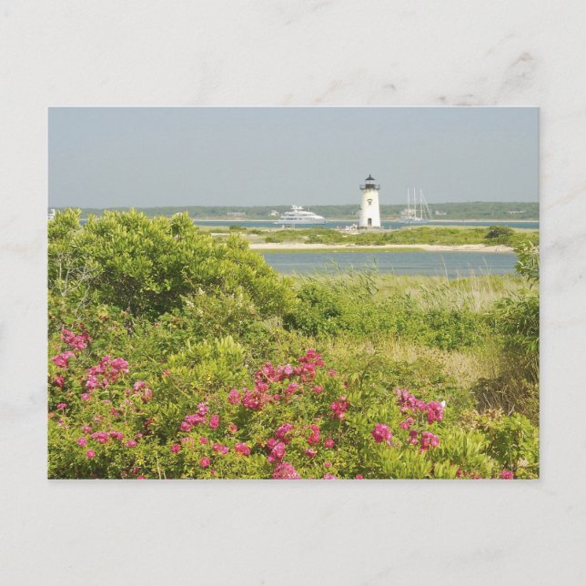 Cartão Postal América do Norte, EUA, Massachusetts, Martha's (Frente)