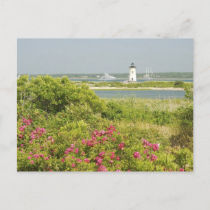 Cartão Postal América do Norte, EUA, Massachusetts, Martha's