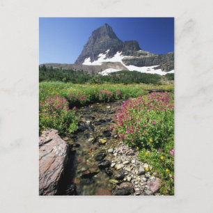 Cartão Postal América do Norte, EUA, Montana, Glaciar Nacional 3