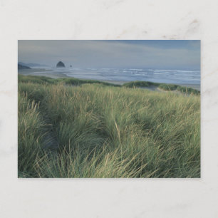 Cartão Postal América do Norte, EUA, Oregon, Praia de Canon,