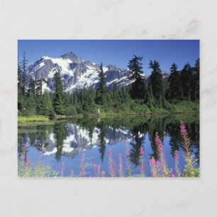 Cartão Postal América do Norte, EUA, Washington, Heather Meadows