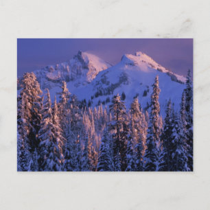 Cartão Postal América do Norte, EUA, Washington, Monte Rainier 4