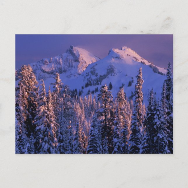 Cartão Postal América do Norte, EUA, Washington, Monte Rainier 4 (Frente)