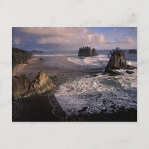 Cartão Postal América do Norte, EUA, Washington, Parque Nacional