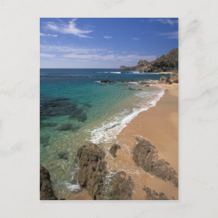 Cartão Postal América do Norte, México, Baja California Sur,
