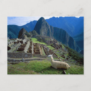 Cartão Postal Ámérica do Sul, Peru. Um lama descansa em um mon