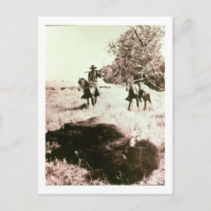 Cartão Postal American Bison Hunters (foto b/w)