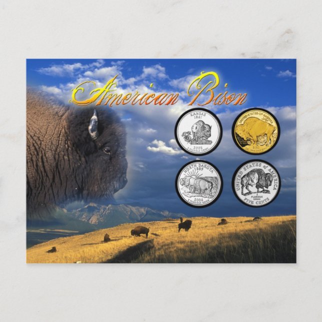 Cartão Postal American Bison sobre moedas (Frente)